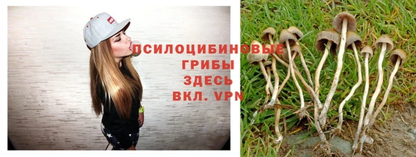 mdpv Баксан