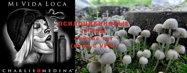 сатива Балахна
