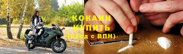прущие грибы Дмитриев