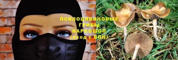 mdpv Баксан