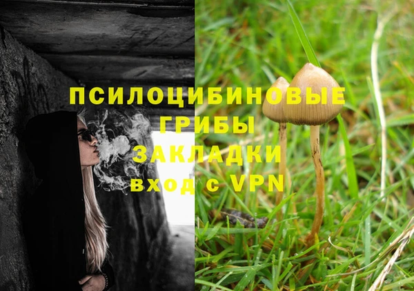 сатива Балахна