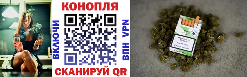 наркотики  Черноголовка  Шишки марихуана AK-47 